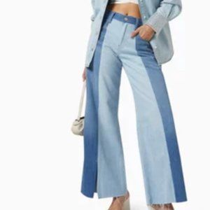 NWT Frame Split Seam Wide Leg in Split Personality 26